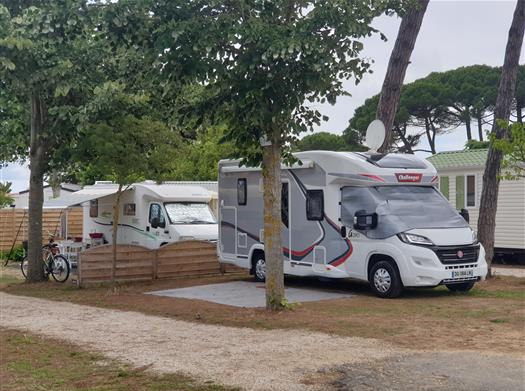Camping Les Pins Le Bois Plage en Ré